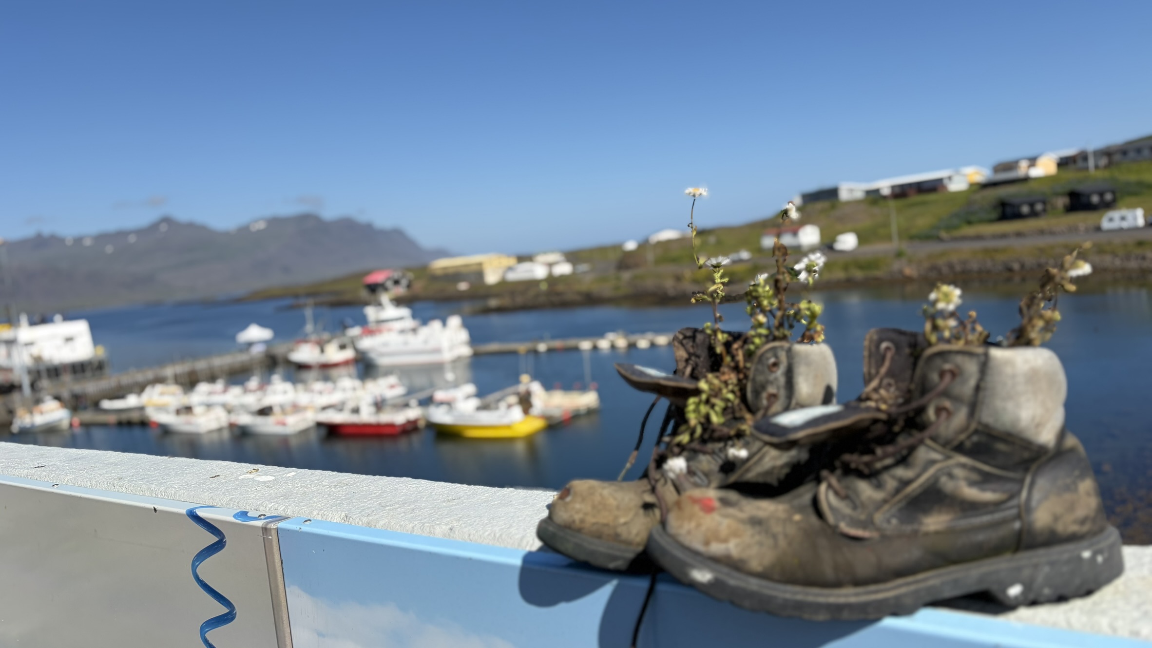 Djúpivogur