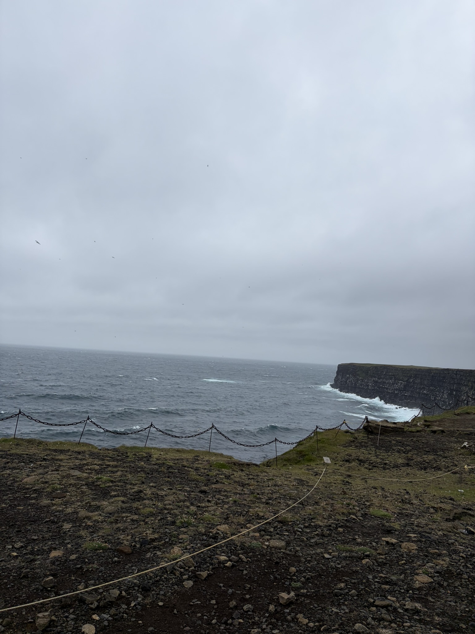 Krýsuvíkurberg Cliffs