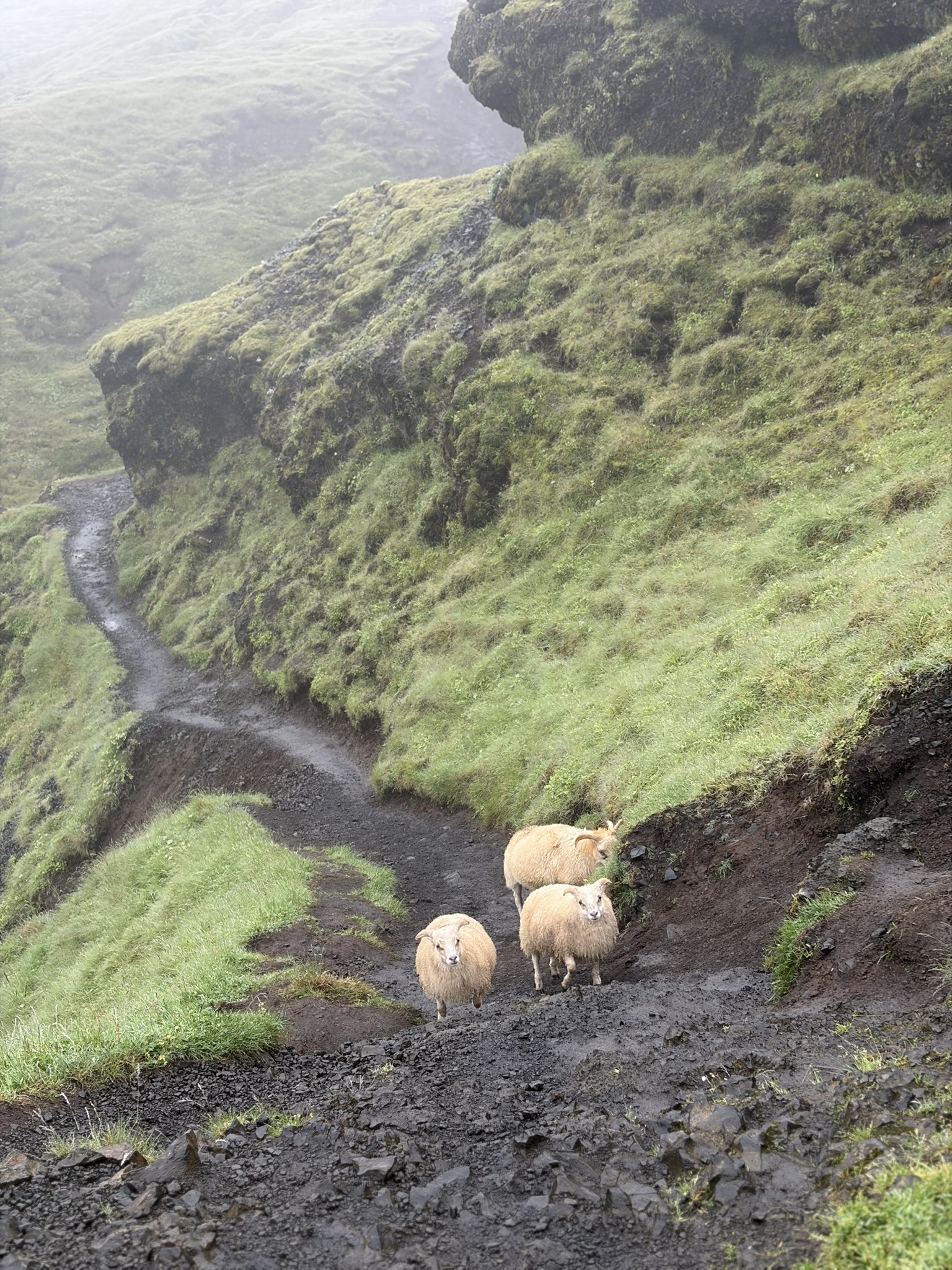 Skógafoss