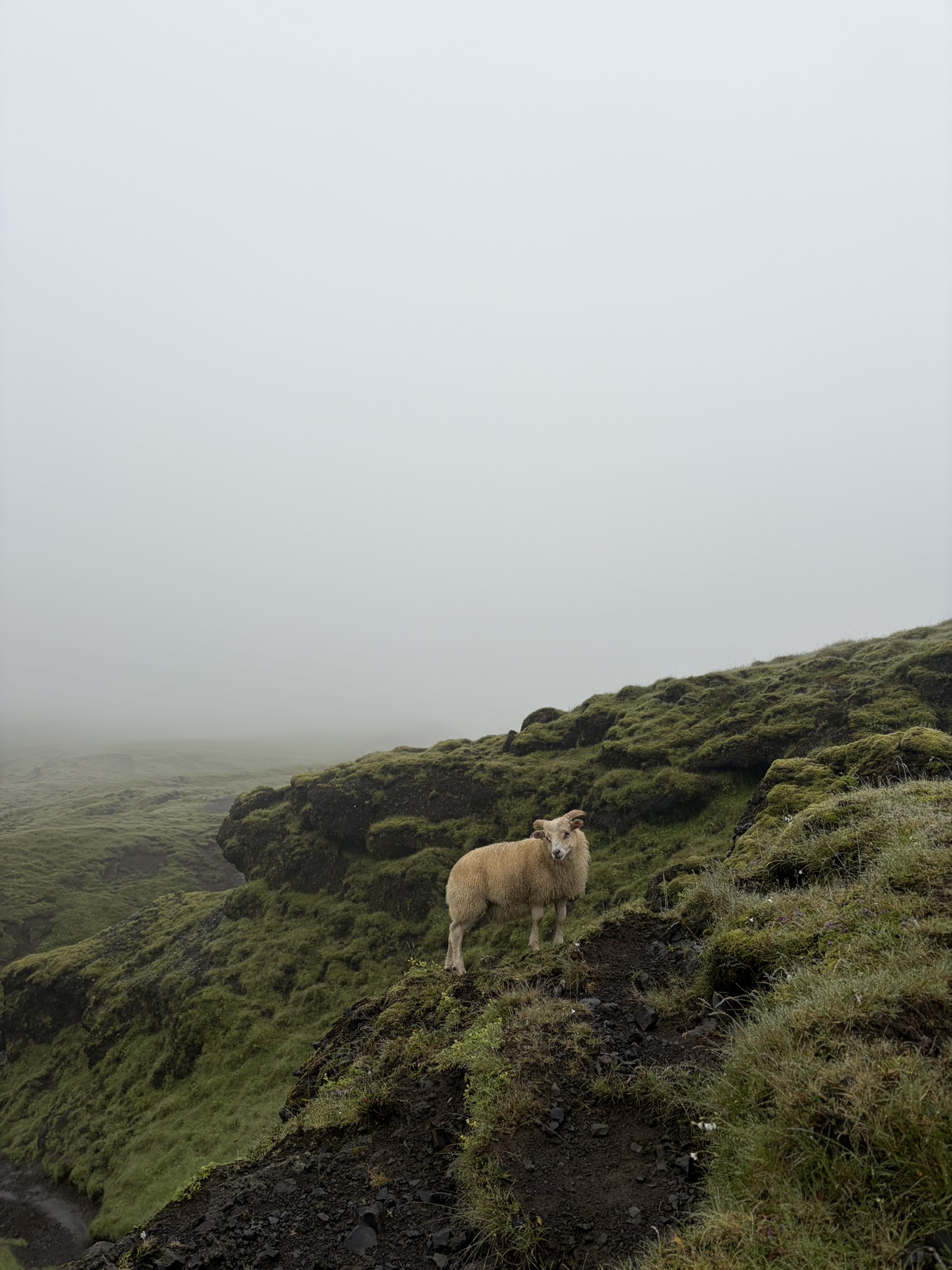 Skógafoss