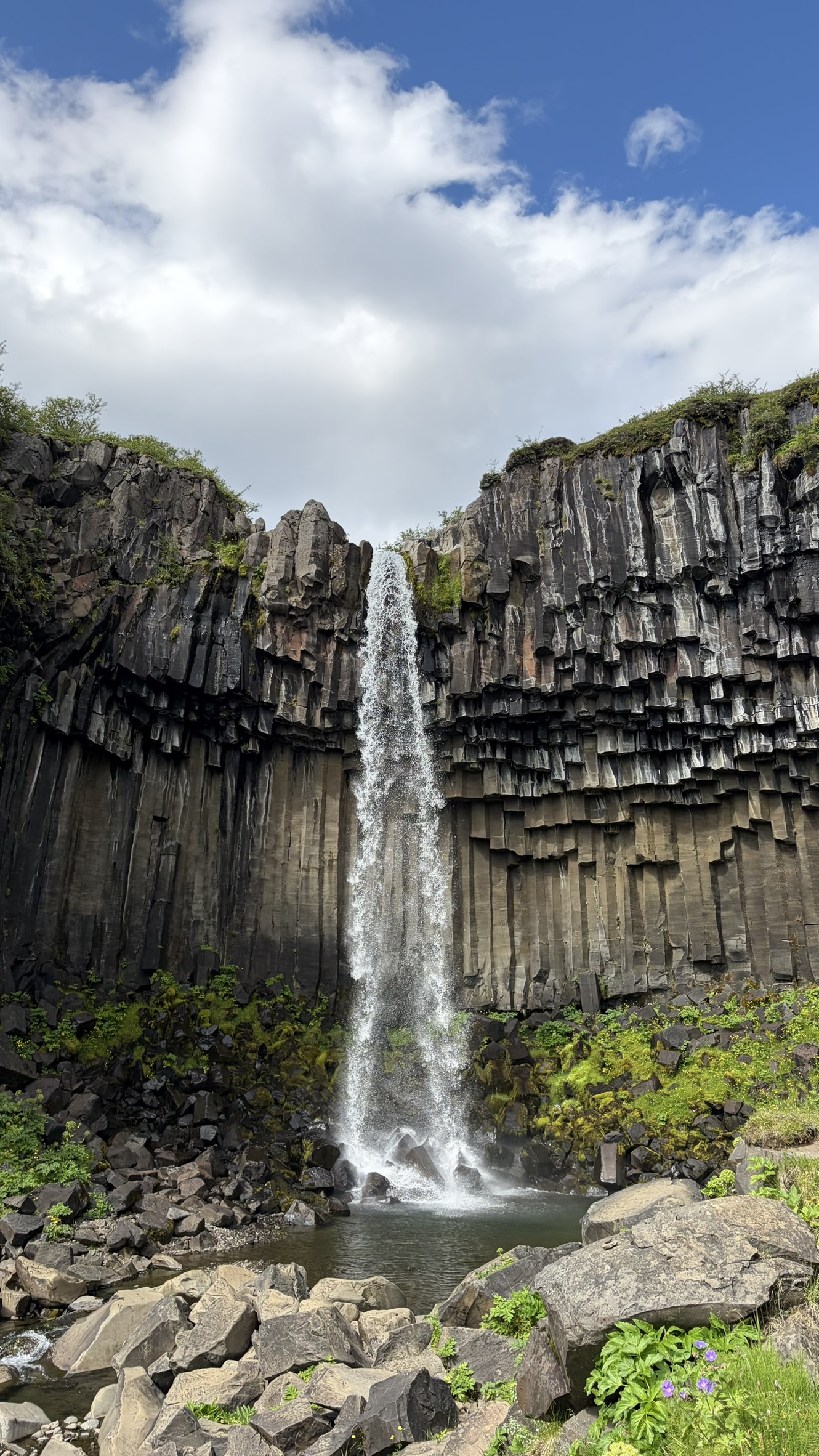 Svartifoss