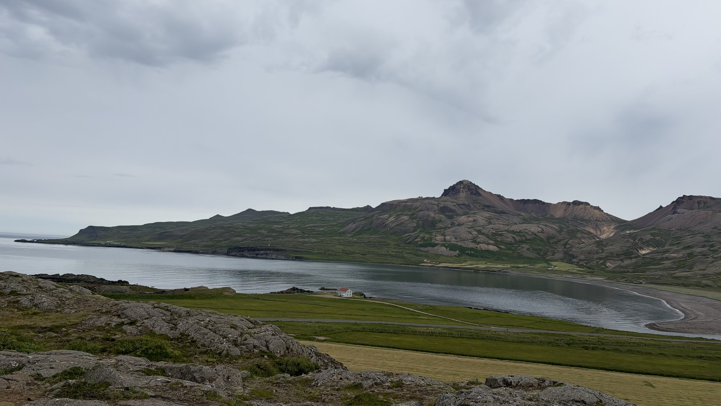 campsite-puffins