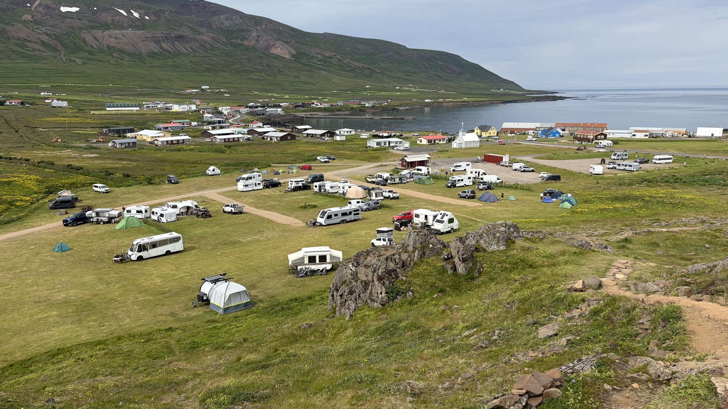 campsite-puffins