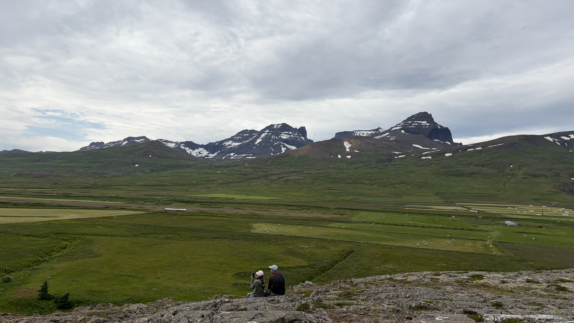 campsite-puffins