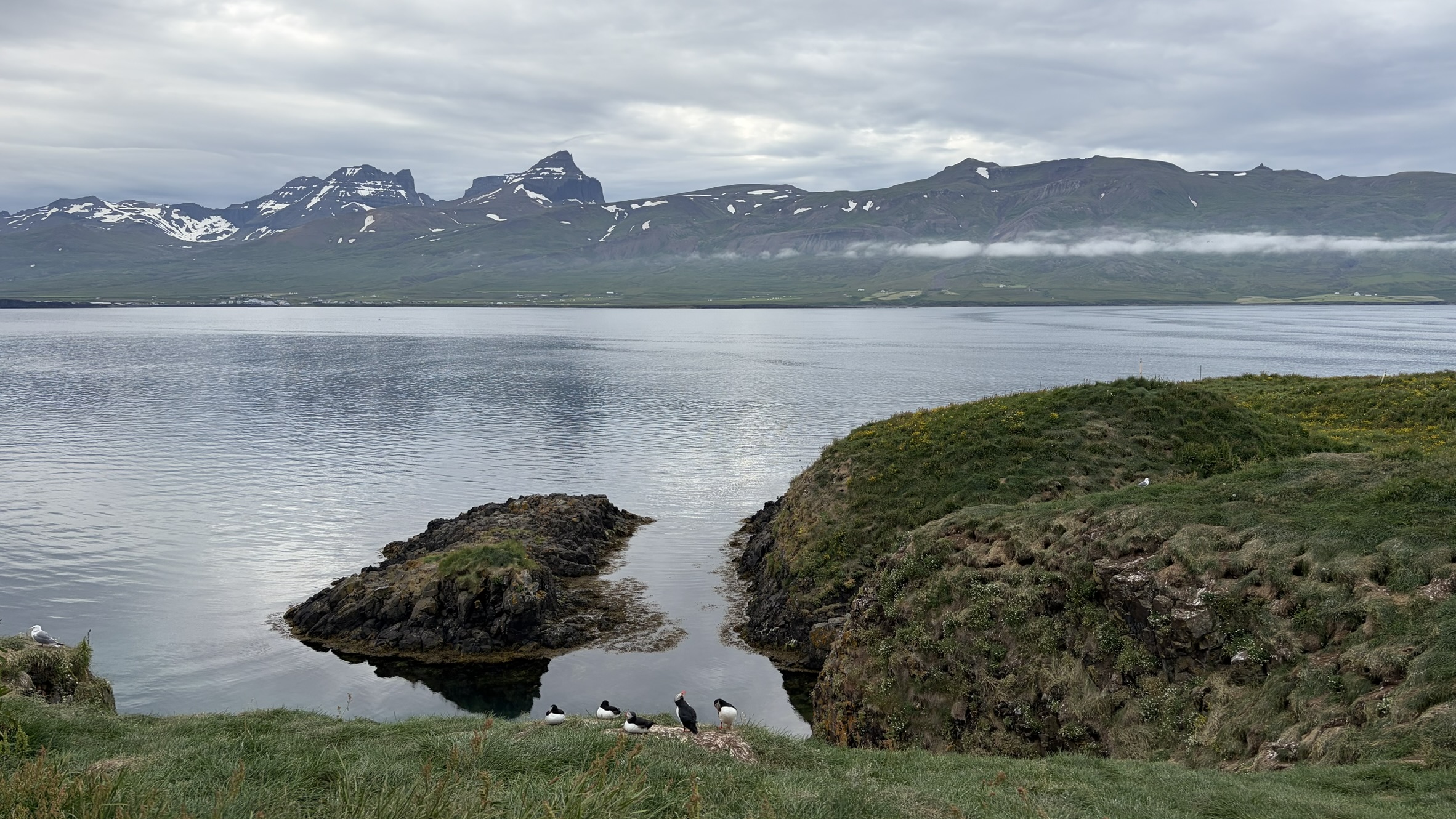 Borgarfjarðarhöfn